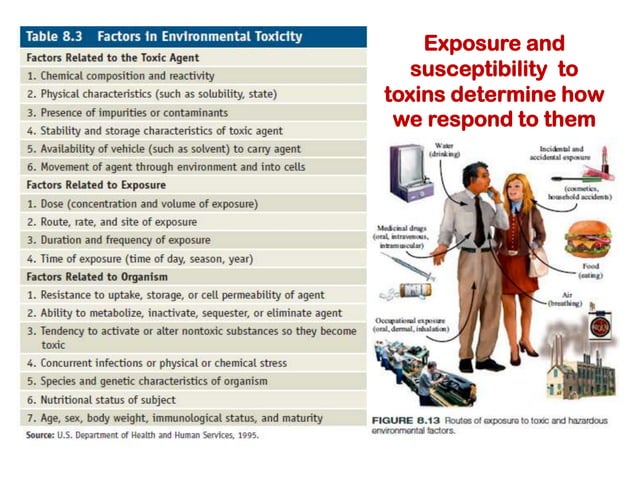 9. environmental health and toxicology | PPTX | Infectious Diseases ...