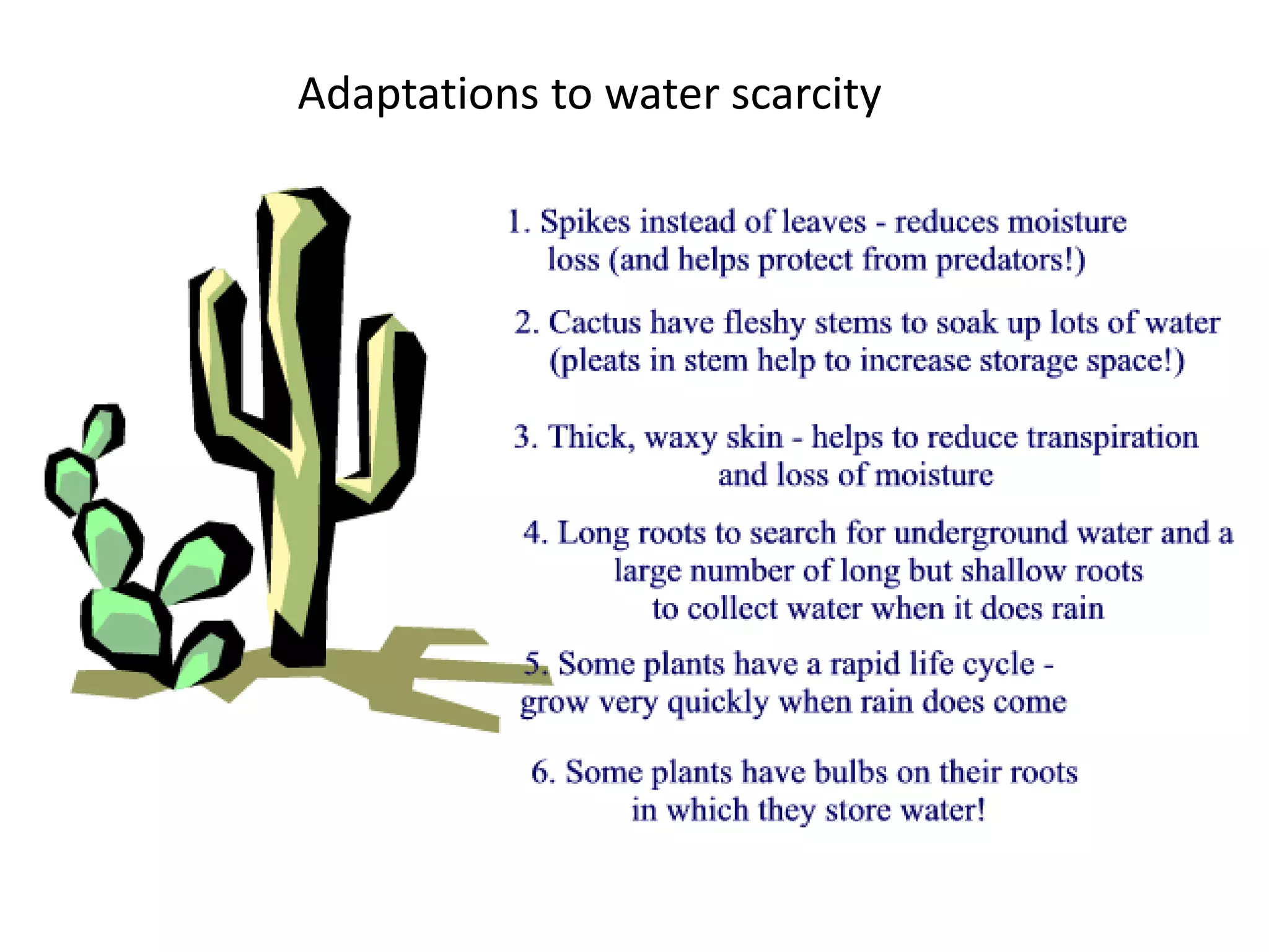Adaptations to water scarcity