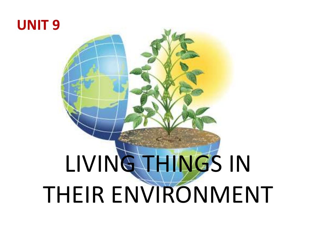 9. living things in their environment
