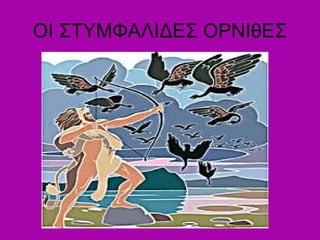 ΟΙ ΣΤΥΜΦΑΛΙΔΕΣ ΟΡΝΙθΕΣ
 