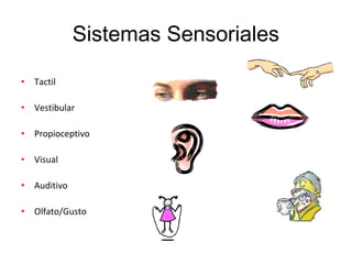 Sistemas Sensoriales
• Tactil
• Vestibular
• Propioceptivo
• Visual
• Auditivo
• Olfato/Gusto
 
