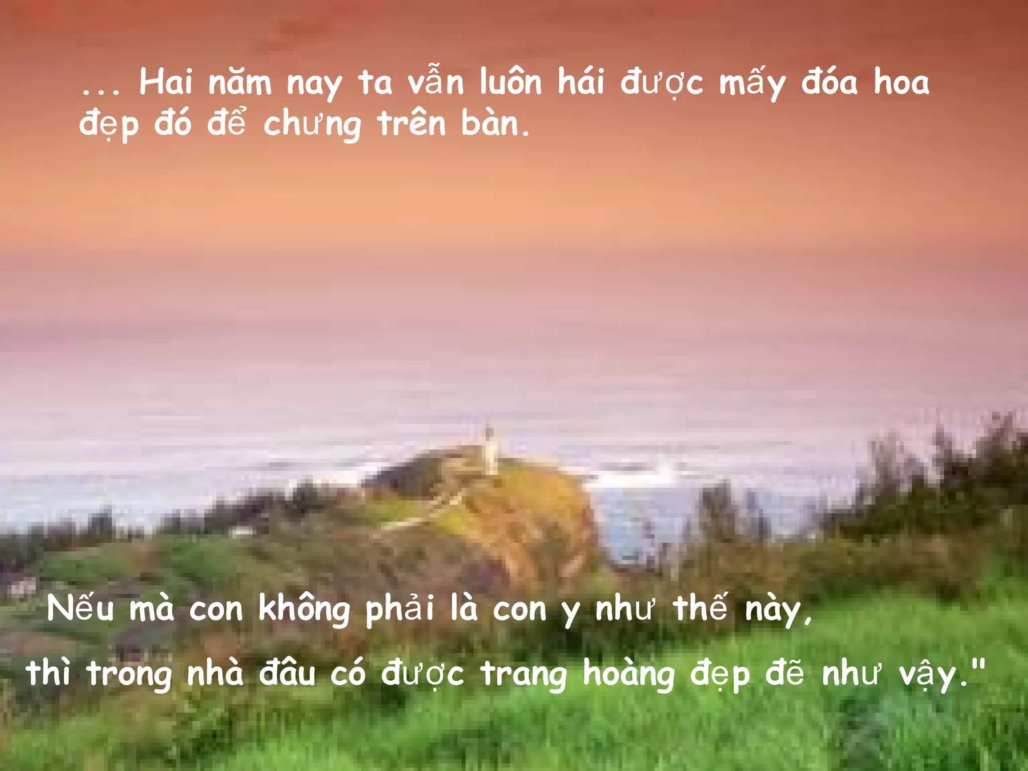 ... Hai năm nay ta v n luôn hái đ c m y đóa hoaẫ ượ ấ
đ p đó đ ch ng trên bàn.ẹ ể ư
N u mà con không ph i là con y nh th này,ế ả ư ế
thì trong nhà đâu có đ c trang hoàng đ p đ nh v y."ượ ẹ ẽ ư ậ
 