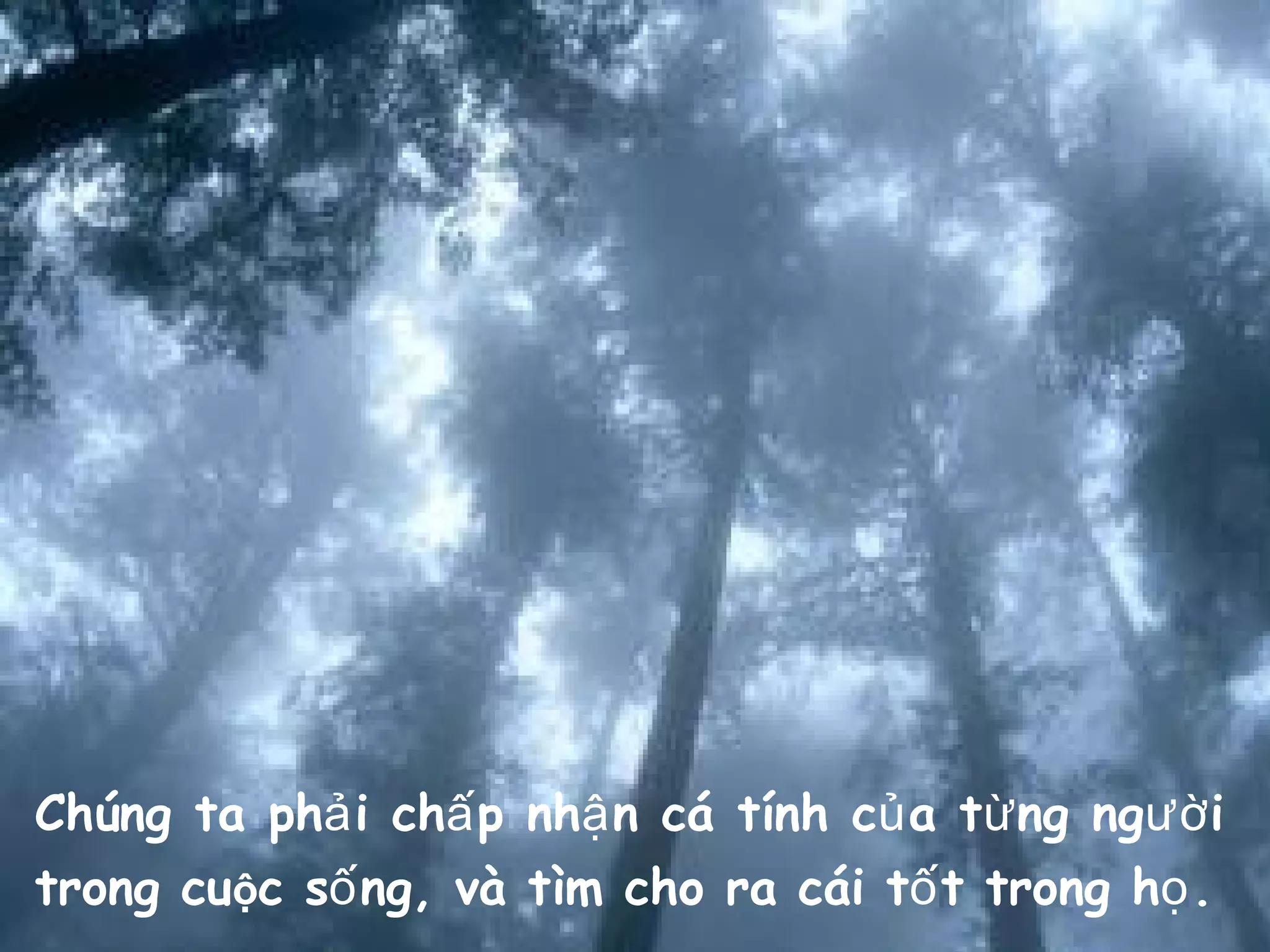 Chúng ta ph i ch p nh n cá tính c a t ng ng iả ấ ậ ủ ừ ườ
trong cuộc s ng, vàố tìm cho ra cái t t trong h .ố ọ
 