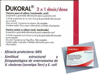 - Eficacia protectora: 60%
- Similitud estructural y
fisiopatológica de enterotoxina de
V. cholerae (serotipo Torr) y E. coli
 