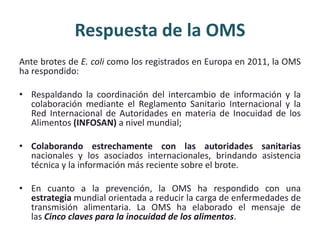 Respuesta de la OMS
Ante brotes de E. coli como los registrados en Europa en 2011, la OMS
ha respondido:
• Respaldando la coordinación del intercambio de información y la
colaboración mediante el Reglamento Sanitario Internacional y la
Red Internacional de Autoridades en materia de Inocuidad de los
Alimentos (INFOSAN) a nivel mundial;
• Colaborando estrechamente con las autoridades sanitarias
nacionales y los asociados internacionales, brindando asistencia
técnica y la información más reciente sobre el brote.
• En cuanto a la prevención, la OMS ha respondido con una
estrategia mundial orientada a reducir la carga de enfermedades de
transmisión alimentaria. La OMS ha elaborado el mensaje de
las Cinco claves para la inocuidad de los alimentos.
 