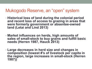 Mukogodo Reserve, an “open” system
• Historical loss of land during the colonial period
and recent loss of access to grazing in areas that
were formerly government or absentee-owned
land (Letai and Lind 2013)
• Market influences on herds, high amounts of
sales of small-stock to buy grains and fulfill basic
needs (Herren 1987, Hauck 2013)
• Large decreases in herd size and changes in
composition (lowest #’s of livestock per capita in
the region, large increases in small-stock (Herren
1987))
 