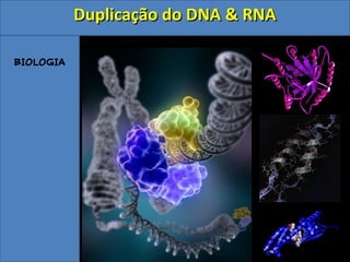 BIOLOGIA
Duplicação do DNA & RNADuplicação do DNA & RNA
 