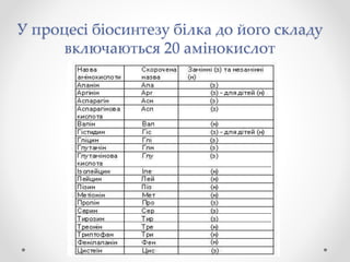 У процесі біосинтезу білка до його складу
включаються 20 амінокислот
 