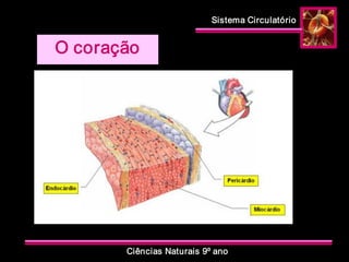 Sistema Circulatório 
Ciências Naturais 9º ano 
O coração
 