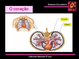 Sistema Circulatório 
Ciências Naturais 9º ano 
O coração
 