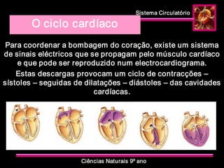 Sistema Circulatório 
Ciências Naturais 9º ano 
O ciclo cardíaco 
Para coordenar a bombagem do coração, existe um sistema 
de sinais eléctricos que se propagam pelo músculo cardíaco 
e que pode ser reproduzido num electrocardiograma. 
Estas descargas provocam um ciclo de contracções – 
sístoles – seguidas de dilatações – diástoles – das cavidades 
cardíacas.
 