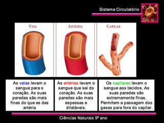 Sistema Circulatório 
Ciências Naturais 9º ano 
As veias levam o 
sangue para o 
coração. As suas 
paredes são mais 
finas do que as das 
artéria 
As artérias levam o 
sangue que sai do 
coração. As suas 
paredes são mais 
espessas e 
dilatáveis. 
Os capilares levam o 
sangue aos tecidos. As 
suas paredes são 
extremamente finas. 
Permitem a passagem dos 
gases para fora do capilar.
 