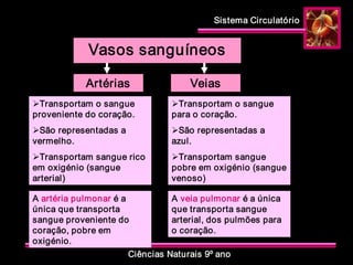 Sistema Circulatório 
Ciências Naturais 9º ano 
Vasos sanguíneos 
Artérias  Veias 
ØTransportam o sangue 
proveniente do coração. 
ØSão representadas a 
vermelho. 
ØTransportam sangue rico 
em oxigénio (sangue 
arterial) 
A artéria pulmonar é a 
única que transporta 
sangue proveniente do 
coração, pobre em 
oxigénio. 
ØTransportam o sangue 
para o coração. 
ØSão representadas a 
azul. 
ØTransportam sangue 
pobre em oxigénio (sangue 
venoso) 
A veia pulmonar é a única 
que transporta sangue 
arterial, dos pulmões para 
o coração.
 