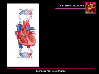 Sistema Circulatório 
Ciências Naturais 9º ano
 