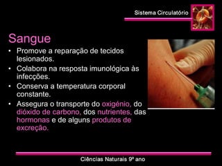 Sistema Circulatório 
Ciências Naturais 9º ano 
Sangue 
•  Promove a reparação de tecidos 
lesionados. 
•  Colabora na resposta imunológica às 
infecções. 
•  Conserva a temperatura corporal 
constante. 
•  Assegura o transporte do oxigénio, do 
dióxido de carbono, dos nutrientes, das 
hormonas e de alguns produtos de 
excreção.
 
