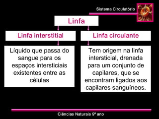 Sistema Circulatório 
Ciências Naturais 9º ano 
Linfa 
Linfa interstitial  Linfa circulante 
Líquido que passa do 
sangue para os 
espaços intersticiais 
existentes entre as 
células 
Tem origem na linfa 
intersticial, drenada 
para um conjunto de 
capilares, que se 
encontram ligados aos 
capilares sanguíneos.
 