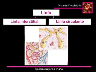 Sistema Circulatório 
Ciências Naturais 9º ano 
Linfa 
Linfa interstitial  Linfa circulante
 