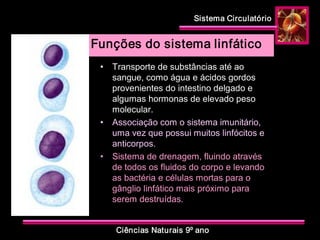 Sistema Circulatório 
Ciências Naturais 9º ano 
Funções do sistema linfático 
•  Transporte de substâncias até ao 
sangue, como água e ácidos gordos 
provenientes do intestino delgado e 
algumas hormonas de elevado peso 
molecular. 
•  Associação com o sistema imunitário, 
uma vez que possui muitos linfócitos e 
anticorpos. 
•  Sistema de drenagem, fluindo através 
de todos os fluidos do corpo e levando 
as bactéria e células mortas para o 
gânglio linfático mais próximo para 
serem destruídas.
 