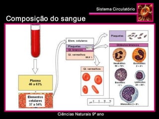 Sistema Circulatório 
Ciências Naturais 9º ano 
Composição do sangue
 