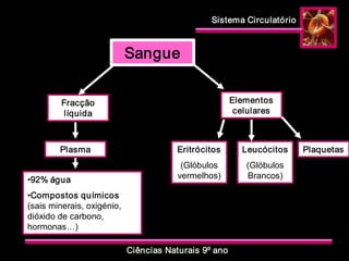 Sistema Circulatório 
Ciências Naturais 9º ano 
Sangue 
Fracção 
líquida 
Elementos 
celulares 
Plasma 
•92% água 
•Compostos químicos 
(sais minerais, oxigénio, 
dióxido de carbono, 
hormonas…) 
Eritrócitos 
(Glóbulos 
vermelhos) 
Leucócitos 
(Glóbulos 
Brancos) 
Plaquetas
 