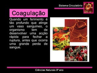 Sistema Circulatório 
Ciências Naturais 9º ano 
Coagulação 
Quando  um  ferimento  é 
tão  profundo  que  atinge 
um  vaso  sanguíneo,  o 
organismo  tem  de 
desenvolver  uma  acção 
rápida  para  fechar  a 
ruptura,  antes  que  ocorra 
uma  grande  perda  de 
sangue.
 