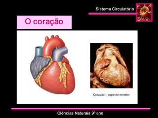 Sistema Circulatório 
Ciências Naturais 9º ano 
O coração
 