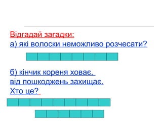 Відгадай загадки: 
а) які волоски неможливо розчесати? 
б) кінчик кореня ховає, 
від пошкоджень захищає. 
Хто це? 
 