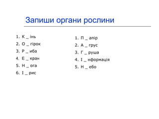 Запиши органи рослини 
1. К _ інь 
2. О _ гірок 
3. Р _ иба 
4. Е _ кран 
5. Н _ ога 
6. І _ рис 
1. П _ апір 
2. А _ грус 
3. Г _ руша 
4. І _ нформація 
5. Н _ ебо 
 