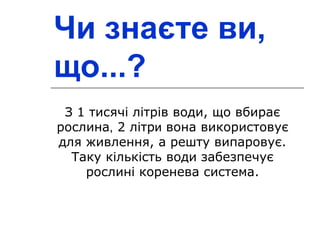 Чи знаєте ви, 
що...? 
З 1 тисячі літрів води, що вбирає 
рослина, 2 літри вона використовує 
для живлення, а решту випаровує. 
Таку кількість води забезпечує 
рослині коренева система. 
 