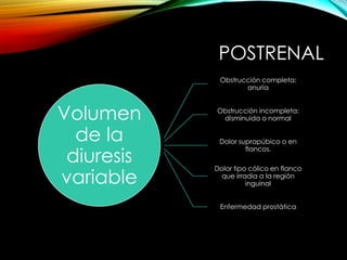 POSTRENAL 
Volumen 
de la 
diuresis 
variable 
Obstrucción completa: 
anuria 
Obstrucción incompleta: 
disminuida o normal 
Dolor suprapúbico o en 
flancos. 
Dolor tipo cólico en flanco 
que irradia a la región 
inguinal 
Enfermedad prostática 
 