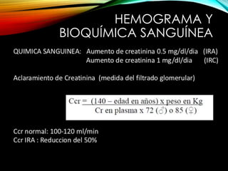 HEMOGRAMA Y 
BIOQUÍMICA SANGUÍNEA 
 