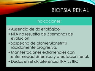 BIOPSIA RENAL 
Indicaciones: 
• Ausencia de dx etiológico 
• NTA no resuelta de 3 semanas de 
evolución 
• Sospecha de glomerulonefritis 
rápidamente progresiva. 
• Manifestaciones extrarrenales con 
enfermedad sistémica y afectación renal. 
• Dudas en el dx diferencial IRA vs IRC. 
 