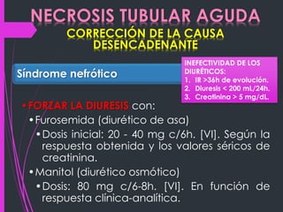 NECROSIS TUBULAR AGUDA 
CORRECCIÓN DE LA CAUSA 
DESENCADENANTE 
Síndrome nefrótico 
•FORZAR LA DIURESIS con: 
•Furosemida (diurético de asa) 
•Dosis inicial: 20 - 40 mg c/6h. [VI]. Según la 
respuesta obtenida y los valores séricos de 
creatinina. 
•Manitol (diurético osmótico) 
•Dosis: 80 mg c/6-8h. [VI]. En función de 
respuesta clínica-analítica. 
INEFECTIVIDAD DE LOS 
DIURÉTICOS: 
1. IR >36h de evolución. 
2. Diuresis < 200 mL/24h. 
3. Creatinina > 5 mg/dL. 
 