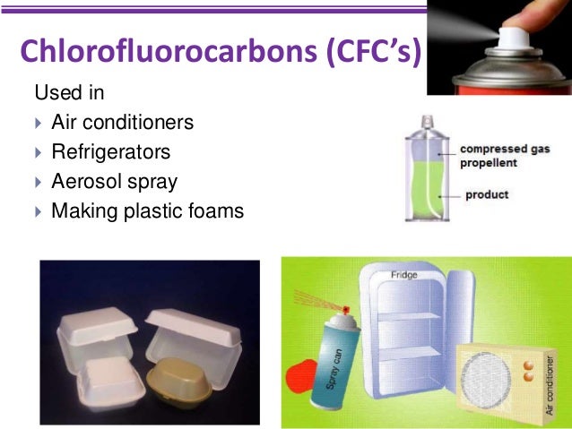 biology form 4 chapter 9 9 2 9 3 endangered ecosystem cfc full form
