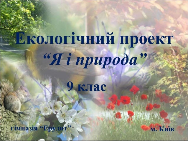 Творчий Проект 9 Клас