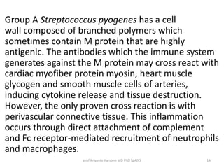 Group A Streptococcus pyogenes has a cell 
wall composed of branched polymers which 
sometimes contain M protein that are highly 
antigenic. The antibodies which the immune system 
generates against the M protein may cross react with 
cardiac myofiber protein myosin, heart muscle 
glycogen and smooth muscle cells of arteries, 
inducing cytokine release and tissue destruction. 
However, the only proven cross reaction is with 
perivascular connective tissue. This inflammation 
occurs through direct attachment of complement 
and Fc receptor-mediated recruitment of neutrophils 
and macrophages. 
prof Ariyanto Harsono MD PhD SpA(K) 14 
 