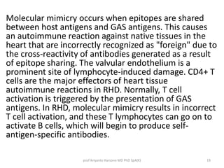 Molecular mimicry occurs when epitopes are shared 
between host antigens and GAS antigens. This causes 
an autoimmune reaction against native tissues in the 
heart that are incorrectly recognized as "foreign" due to 
the cross-reactivity of antibodies generated as a result 
of epitope sharing. The valvular endothelium is a 
prominent site of lymphocyte-induced damage. CD4+ T 
cells are the major effectors of heart tissue 
autoimmune reactions in RHD. Normally, T cell 
activation is triggered by the presentation of GAS 
antigens. In RHD, molecular mimicry results in incorrect 
T cell activation, and these T lymphocytes can go on to 
activate B cells, which will begin to produce self-antigen- 
specific antibodies. 
prof Ariyanto Harsono MD PhD SpA(K) 19 
 