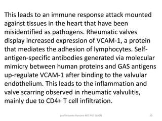 This leads to an immune response attack mounted 
against tissues in the heart that have been 
misidentified as pathogens. Rheumatic valves 
display increased expression of VCAM-1, a protein 
that mediates the adhesion of lymphocytes. Self-antigen- 
specific antibodies generated via molecular 
mimicry between human proteins and GAS antigens 
up-regulate VCAM-1 after binding to the valvular 
endothelium. This leads to the inflammation and 
valve scarring observed in rheumatic valvulitis, 
mainly due to CD4+ T cell infiltration. 
prof Ariyanto Harsono MD PhD SpA(K) 20 
 