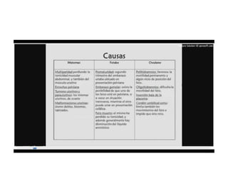 9.  presentacion podalica y transversa