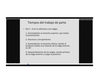 9.  presentacion podalica y transversa