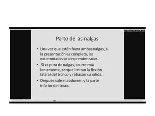 9.  presentacion podalica y transversa