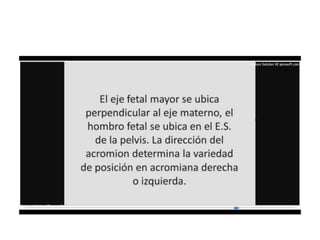 9.  presentacion podalica y transversa