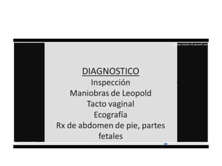 9.  presentacion podalica y transversa