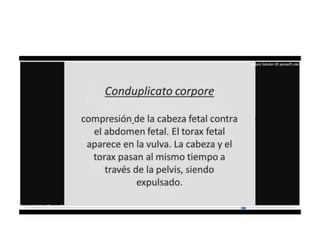 9.  presentacion podalica y transversa