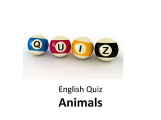 English Quiz 
Animals 
 