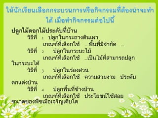 ปลูกไม้ดอกไม้ประดับที่บ้าน
วิธีที่ 1 ปลูกในกระถางดินเผา
เกณฑ์ที่เลือกใช้ ... พื้นที่มีจากัด ...
วิธีที่ 2 ปลูกในกระบะไม้
เกณฑ์ที่เลือกใช้ ...เป็นไม้ที่สามารถปลูก
ในกระบะได้
วิธีที่ 3 ปลูกในร่องสวน
เกณฑ์ที่เลือกใช้ ความสวยงาม ประดับ
ตกแต่งบ้าน
วิธีที่ 4 ปลูกพื้นที่ข้างบ้าน
เกณฑ์ที่เลือกใช้ ประโยชน์ใช้สอย
ขนาดของพืชเมื่อเจริญเติบโต
 