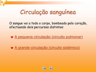 Circulação sanguínea
O sangue vai a todo o corpo, bombeado pelo coração,
efectuando dois percursos distintos:
Y A pequena circulação (circuito pulmonar) 
Y A grande circulação (circuito sistémico)
 