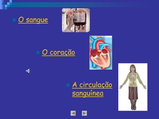 n O sangue
n O coração
n A circulação
sanguínea
 