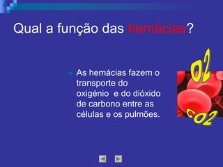 Qual a função das hemácias? 
n  As hemácias fazem o 
transporte do 
oxigénio  e do dióxido 
de carbono entre as 
células e os pulmões.
 