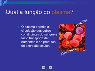 Qual a função do plasma? 
n  O plasma permite a 
circulação dos outros 
constituintes do sangue e 
faz o transporte de 
nutrientes e de produtos 
de excreção celular. 
Nutrientes
Excreções
 